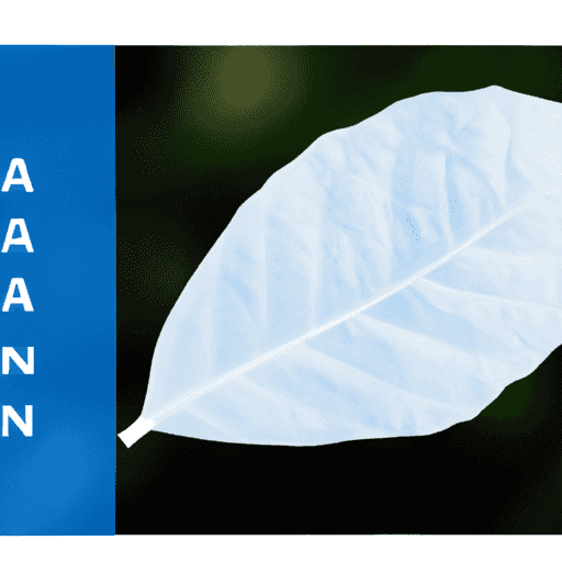 Mengenal Lebih Dekat: Hubungan Antara Berat Badan, Tulang, dan Sendi